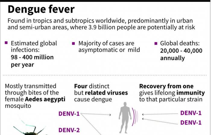 Why child-killer diseases like dengue, cholera and mpox have surged worldwide