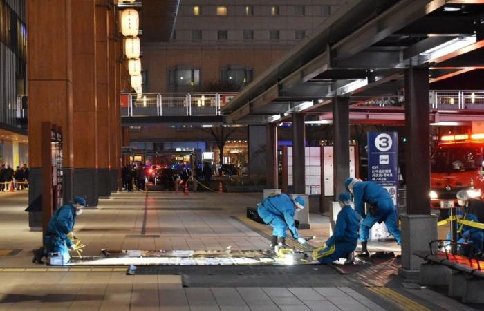 Japan police arrest man over train station stabbing