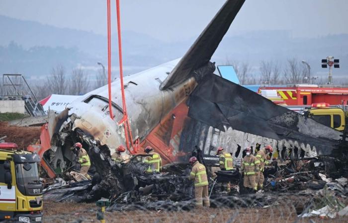 Jeju Air crash: Bird strike suspected as feathers, blood found in engines