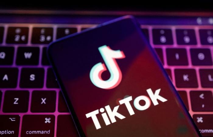 US-born teen shot dead by father in Pakistan over TikTok videos, police probe ‘honour killing’ angle