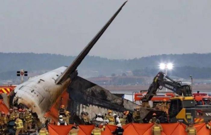 South Korea orders airports to install bird detection cameras