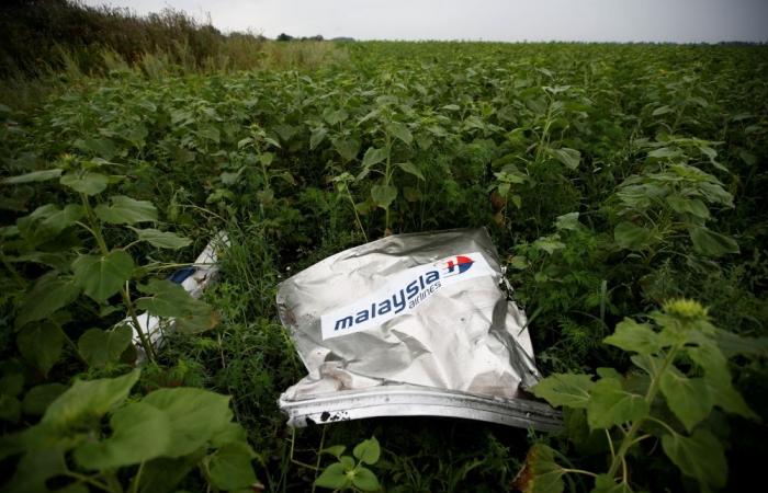 Russia’s Sberbank defiant after US court allows MH17 victim’s lawsuit