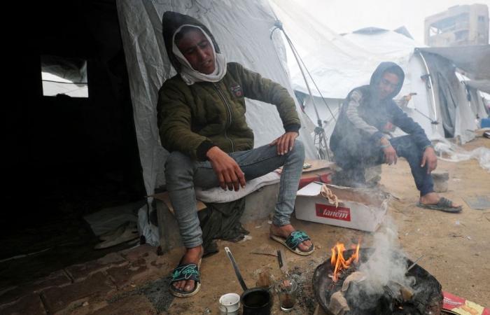 ‘Is he nuts?’ As rainstorm and Trump blow through Gaza, residents say they will never leave