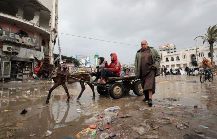 ‘Is he nuts?’ As rainstorm and Trump blow through Gaza, residents say they will never leave