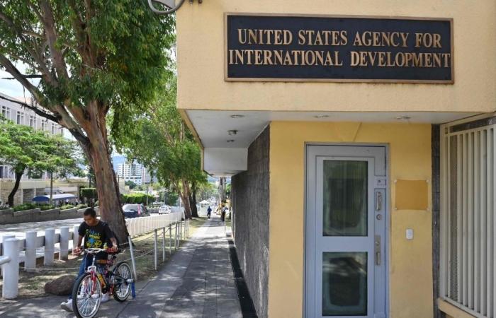 US media: Trump administration to lay off almost 10,000 USAID staff, leaving fewer than 300 employees and sparking backlash