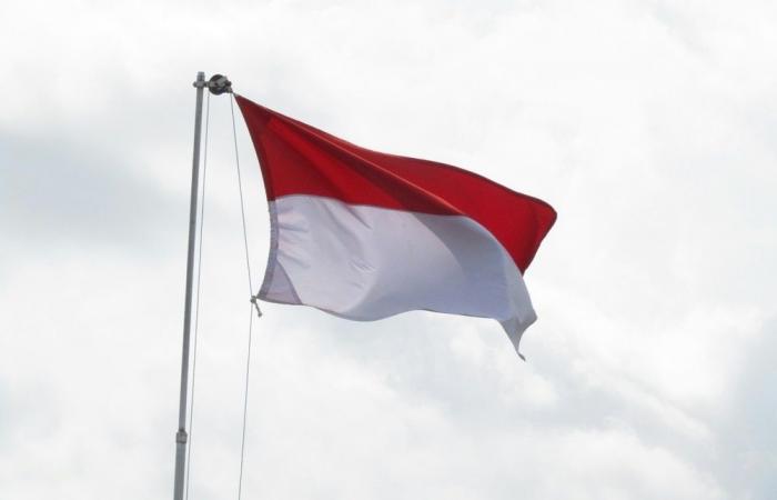 Indonesia appoints general to head state food procurement company, raising military role concerns