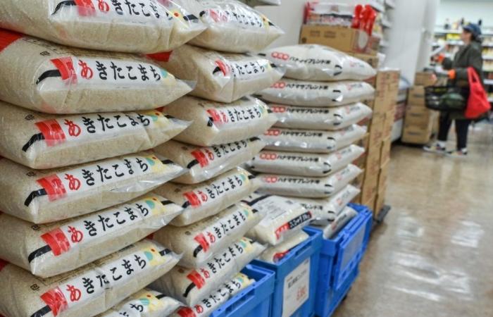 Japan to release emergency rice reserves as prices soar