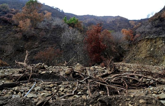 Los Angeles fire zones hit by mudslides after heavy rain