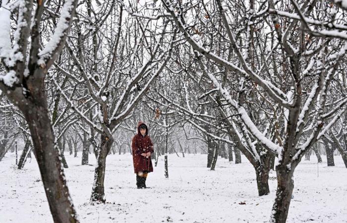 Kashmir farmers decry land seizures for highways and railways in Modi’s development drive, fear push to ‘Hinduise’ region