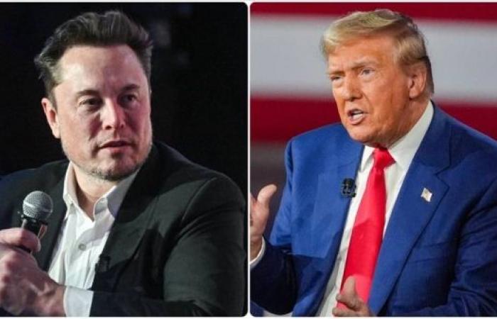 Trump urges Elon Musk to be ‘more aggressive’ in government efficiency efforts