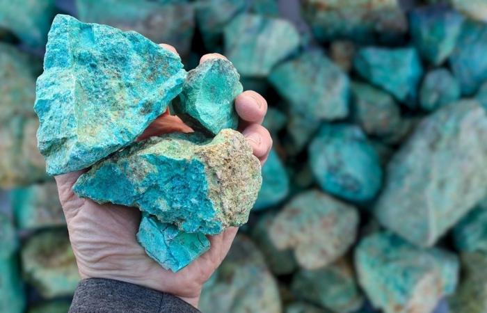 Ukraine’s mineral wealth draws global interest but rare earths remain untapped