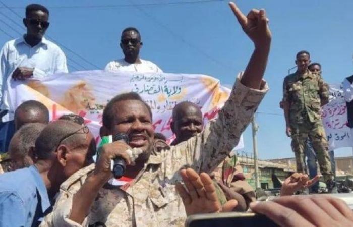 Sudan army ends two-year siege of key city