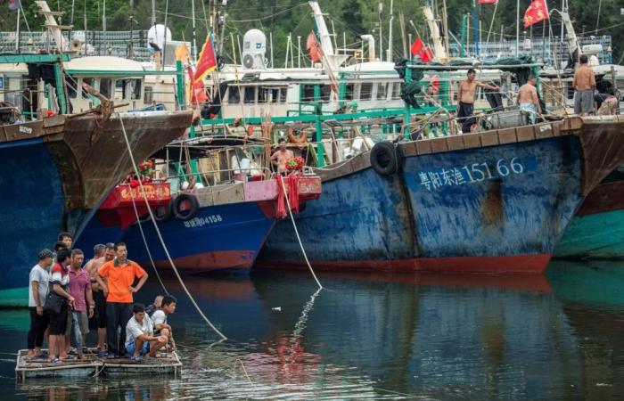 ‘Tainted by modern slavery’: N. Koreans endure years of forced labour on Chinese ships, says report