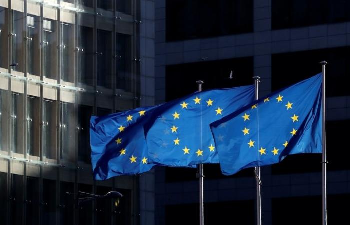 EU proposes deal with Ukraine on ‘critical materials’