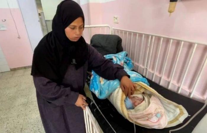 Six babies die of hypothermia in Gaza, health officials say