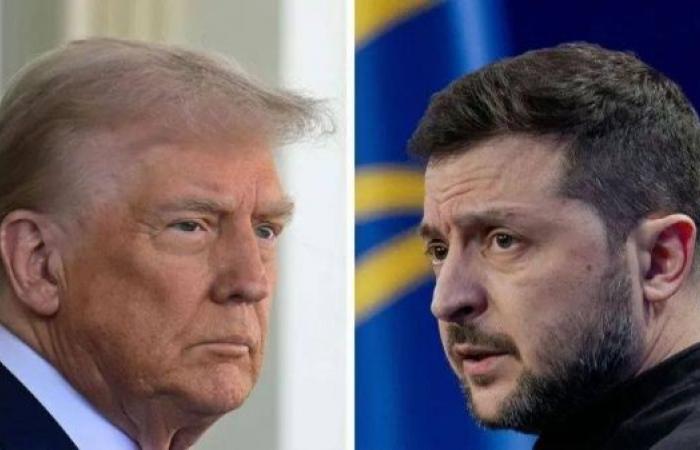 Zelensky to meet Trump in Washington to sign minerals deal