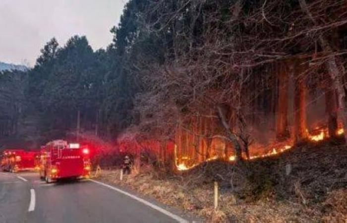 Thousands evacuated as Japan's biggest fire in decades continues to burn