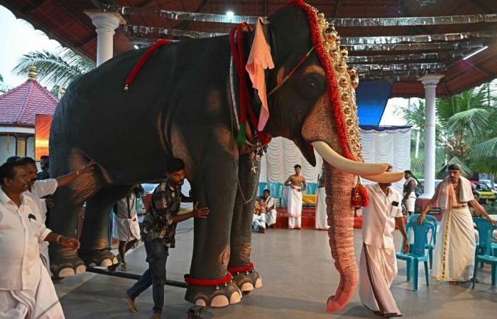 Model behaviour: India’s anti-cruelty robot elephants