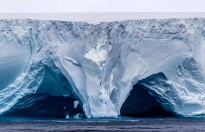 World's largest iceberg runs aground off remote British island