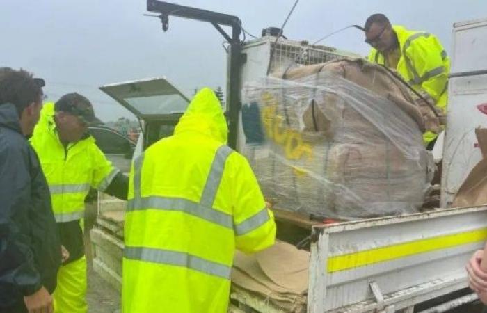 'Scary' tropical Cyclone Alfred nears Queensland