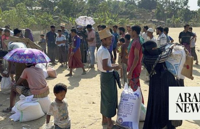 UN migration agency says aid to Rohingya in Indonesia reinstated