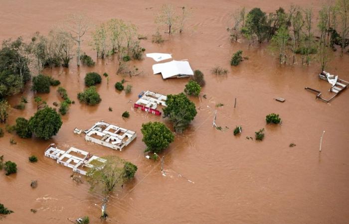 Planet sends distress signals: UN urges global early-warning systems as record numbers forced to flee climate disasters