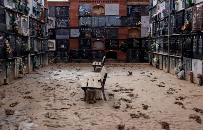 Europe hit by worst flooding in a decade during 2024, climate report reveals