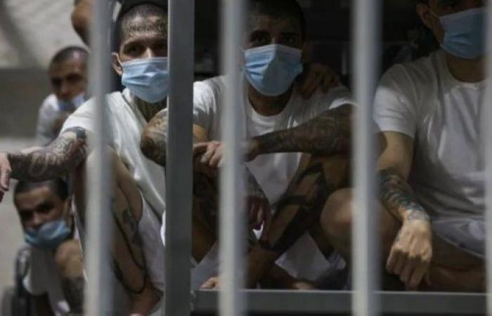 El Salvador offers Venezuela prisoner swap involving US deportees