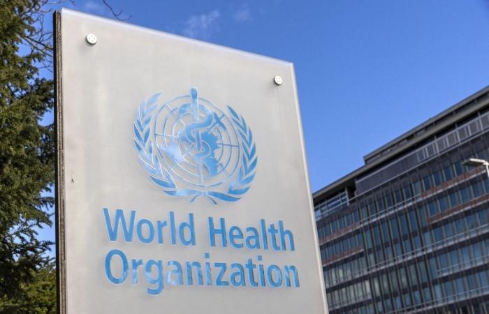 ‘Painful decision’: WHO announces major overhaul, layoffs amid US funding cuts