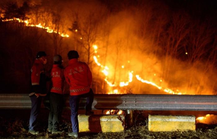 Climate change made fire conditions twice as likely in South Korea blazes, study finds