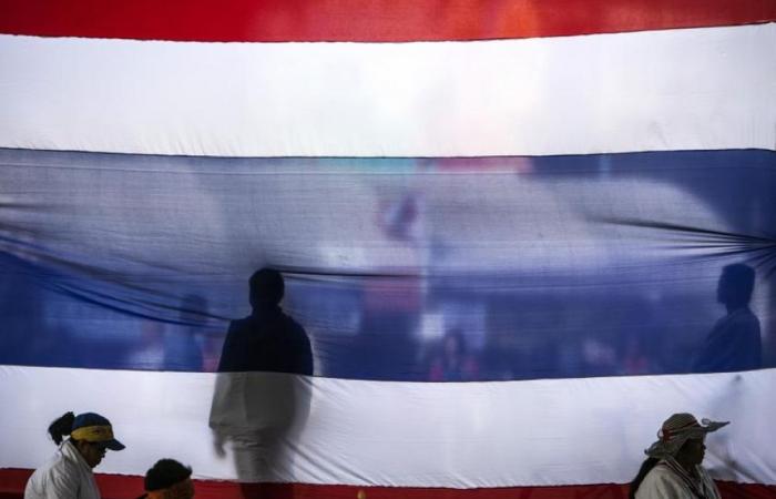 Thailand drops lese-majeste case against US academic Paul Chambers