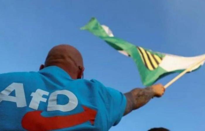 AfD classified as extreme-right by German intelligence