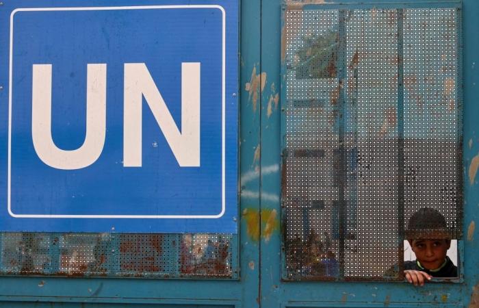 Massive UN shake-up? Leaked memo reveals plans to merge major agencies amid US aid cuts