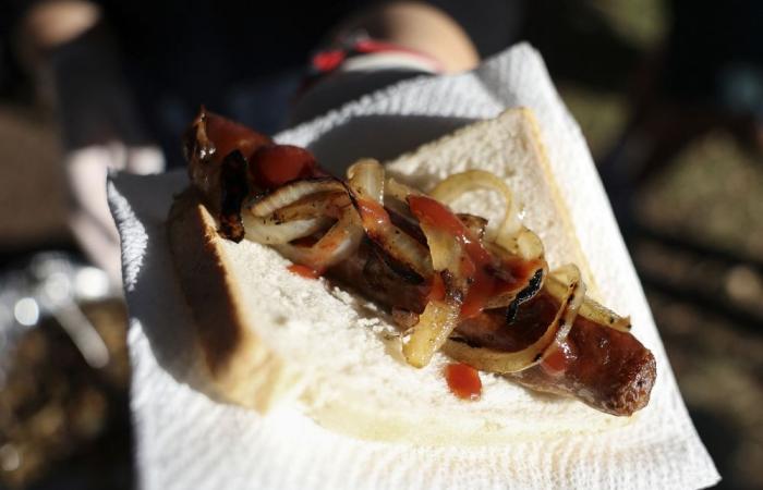 Five key takeaways from Australia’s crucial election: What’s at stake in the 2025 polls — plus democracy sausages