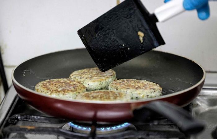 Swiss court bans animal names for plant-based products