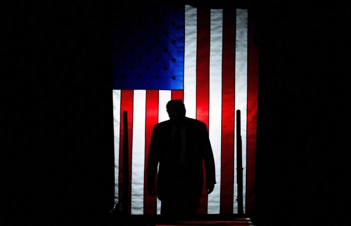 ‘We love this country, but not what it’s become’: More US citizens seek EU visas after Trump re-election