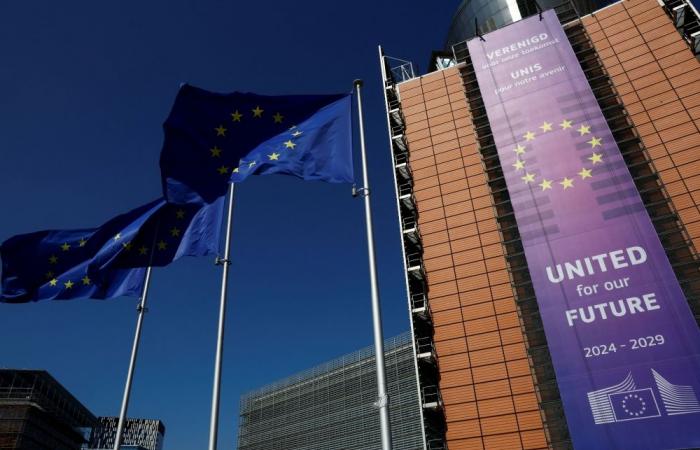 ‘We love this country, but not what it’s become’: More US citizens seek EU visas after Trump re-election