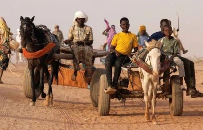 Top UN court rejects Sudan's bid to sue UAE for genocide