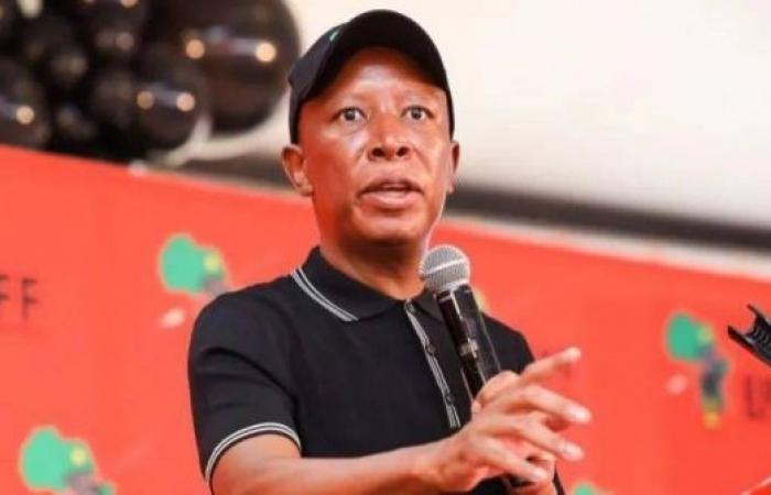 South African opposition politician hits out after failing to get UK visa