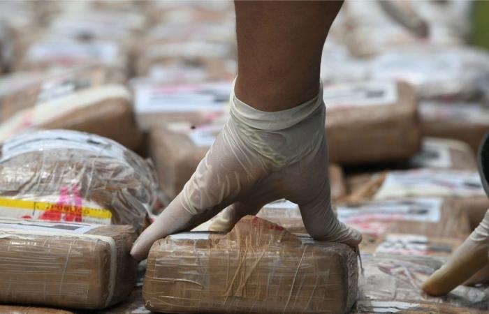 France arrests ‘fake family’ smuggling 135kg of cocaine near Spanish border