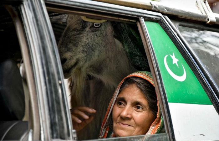 In Pakistan’s Chakothi, families emerge from bunkers as ceasefire holds — but few trust it will last