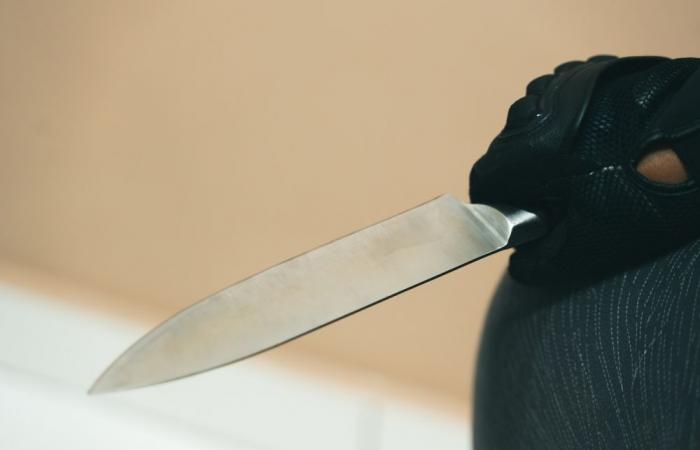 Japanese teen admits to fatal stabbing of 84-year-old woman, says felt like killing someone, didn’t matter who