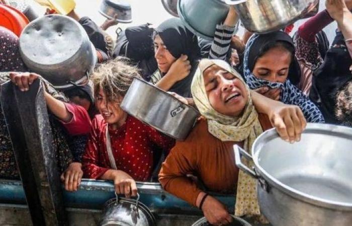 Israel denying food to Gaza is 'weapon of war', UN Palestinian refugee agency head says