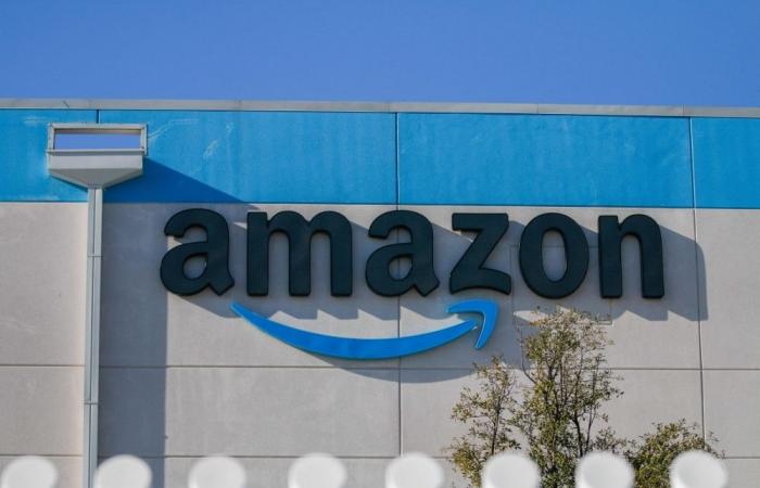 Signed, sealed and soiled: Amazon driver caught defecating on LA porch
