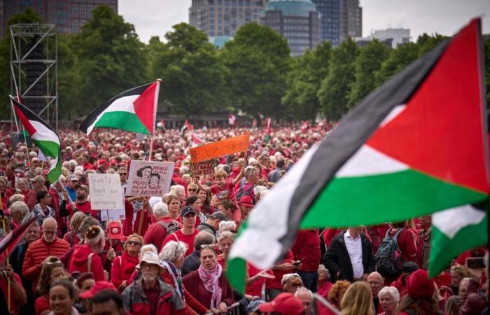 Tens of thousands Dutch protesters form ‘red line’ for Gaza in biggest demonstration against Israel’s genocide in 20 years