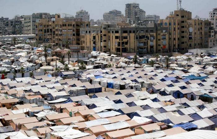 Doctors Without Borders says Israel allowing ‘ridiculously inadequate’ amount of aid into Gaza 
