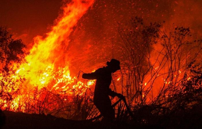 Rainforests burn at record pace, 18 football fields lost every minute, says think tank