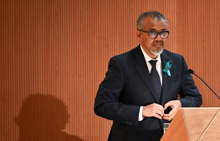 ‘It’s really wrong to weaponise food’: WHO chief fights back tears, begs Israel to show ‘mercy’ in Gaza