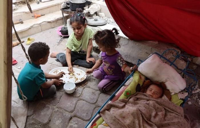 ‘It’s really wrong to weaponise food’: WHO chief fights back tears, begs Israel to show ‘mercy’ in Gaza
