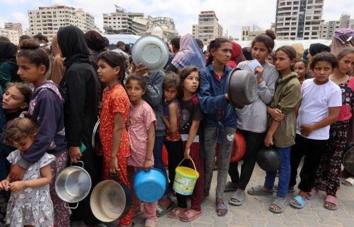 ‘It’s really wrong to weaponise food’: WHO chief fights back tears, begs Israel to show ‘mercy’ in Gaza